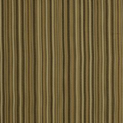 Robert Allen Sunbrella Grams Mat Terrain 209521 Upholstery Fabric