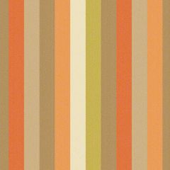 Sunbrella by CF Stinson Contract Flip Flops Papaya 62620 Upholstery Fabric