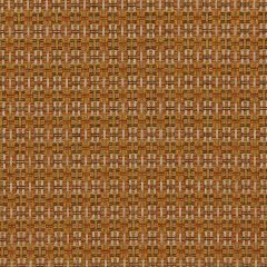 Robert Allen Sunbrella Locking Dots Tangerine Essentials Collection Upholstery Fabric