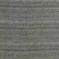 Robert Allen Sunbrella Kaili Strie Charcoal 234987 Upholstery Fabric