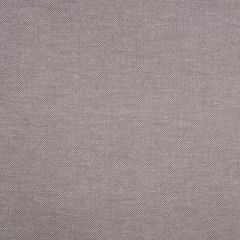 Sunbrella Nurture Shale 42102-0004 Balance Collection Upholstery Fabric
