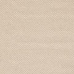 Sunbrella by Alaxi Luxe Cream Serenity Collection Upholstery Fabric