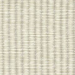 Robert Allen Sunbrella Peaceful Twine 209513 Upholstery Fabric