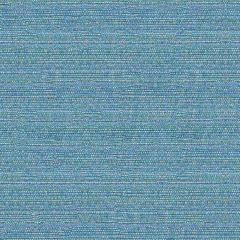 Kravet Sunbrella 31695-313 Upholstery Fabric