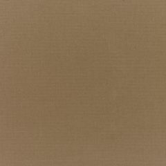 Sunbrella RAIN Canvas Cocoa 5425-0000 77 Waterproof Upholstery Fabric