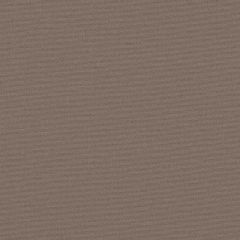 Sunbrella Canvas Taupe SJA 3729 137 European Collection Upholstery Fabric