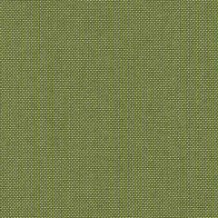 Buy Sunbrella Spectrum Dove 48032-0000 Elements Collection Upholstery Fabric  by the Yard