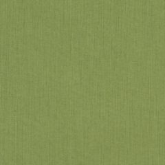 Guaranteed in Stock - Sunbrella Castanet Beach 5604-0000 Upholstery Fabric