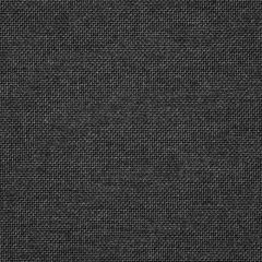 Sunbrella Essential Coal 16005-0005 The Pure Collection Upholstery Fabric