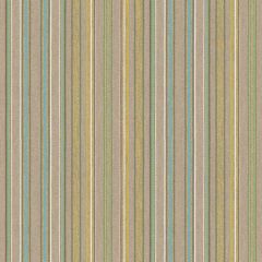 Sunbrella by Mayer Puno Spring 444-002 Wonderlust Collection Upholstery Fabric