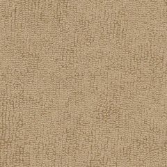 Sunbrella Beige 78001-0000 The Terry Collection Upholstery Fabric