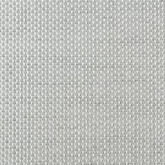 Sunbrella Augustine Alloy 5928-0042 Sling Upholstery Fabric