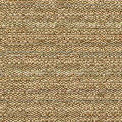 Kravet Sunbrella Helm Earth 34869-616 Oceania Indoor Outdoor Collection Upholstery Fabric