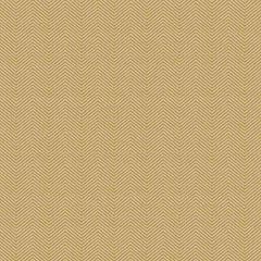 Kravet Sunbrella Gold 34234-416 Upholstery Fabric