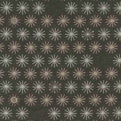 Sunbrella by Mayer Spokes Meteor 435-006 Vollis Simpson Collection Upholstery Fabric