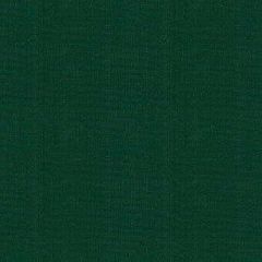 Kravet Sunbrella Canvas Green 25703-31 Soleil Collection Upholstery Fabric