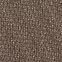 Sunbrella Lopi Coconut LOP R014 140 European Collection Upholstery Fabric