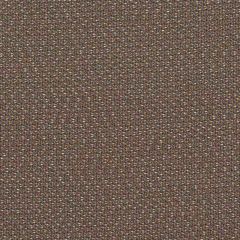 Sunbrella Lopi Coconut LOP R014 140 European Collection Upholstery Fabric