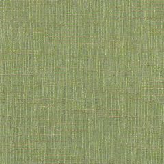 Sunbrella Cassava Spring 44496-0006 Rockwell Currents Collection Upholstery Fabric
