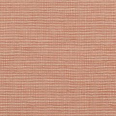 Sunbrella Cassava Coral 44496-0009 Rockwell Currents Collection Upholstery Fabric