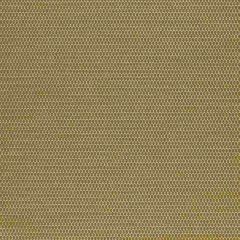 Sunbrella by Mayer Reflector Burnish 433-002 Vollis Simpson Collection Upholstery Fabric