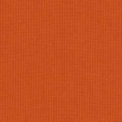 Sunbrella Canvas Pumpkin SJA 3969 137 European Collection Upholstery Fabric