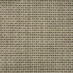 Sunbrella Framework Jade 50200-0004 Sling Upholstery Fabric