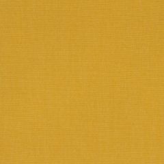 Robert Allen Sunbrella Contract Optima Sunshine 222240 Upholstery Fabric