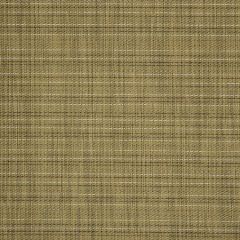 Sunbrella Shangrila Seagrass 50170-0000 Sling Upholstery Fabric