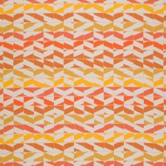 Robert Allen Sunbrella Lean On Papaya 509964 Upholstery Fabric