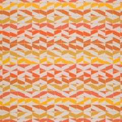 Robert Allen Sunbrella Lean On Papaya 509964 Upholstery Fabric