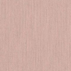 Sunbrella Canvas Blush SJA 3965 137 European Collection Upholstery Fabric