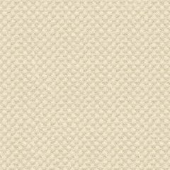 Kravet Sunbrella Beige 25807-1116 Guaranteed in Stock Upholstery Fabric