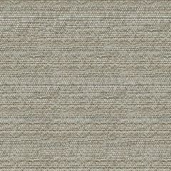 Kravet Sunbrella 34274-11 Guaranteed in Stock Upholstery Fabric