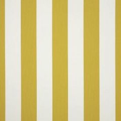Guaranteed In Stock - Sunbrella Cabana Citron 58026-0000 Upholstery Fabric