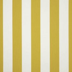 Guaranteed In Stock - Sunbrella Cabana Citron 58026-0000 Upholstery Fabric