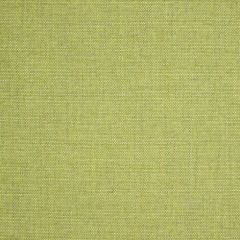 Sunbrella Idol Leaf 40487-0023 Upholstery Fabric