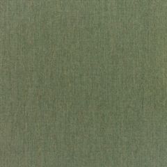 Sunbrella RAIN Canvas Fern 5487-0000 77 Waterproof Upholstery Fabric