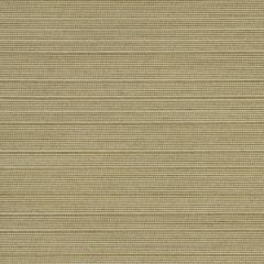 Robert Allen Sunbrella Contract Marco Island Sand Upholstery Fabric