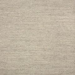 Remnant - Sunbrella Action Ash 44285-0001 Upholstery Fabric (1 yard piece)