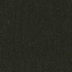 Sunbrella Renaissance Heritage Char 18009-0000 Upholstery Fabric