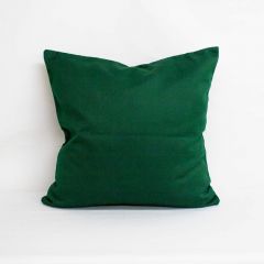 Indoor/Outdoor Sunbrella Pique Ivy - 22x22 Throw Pillow (quick ship)