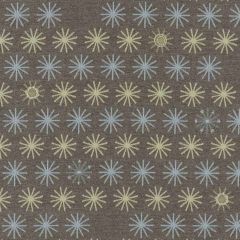 Sunbrella by Mayer Spokes Mist 435-000 Vollis Simpson Collection Upholstery Fabric