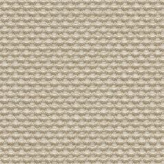 Kravet Sunbrella Weaver Flax 30828-16 Soleil Collection Upholstery Fabric