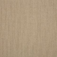 Sunbrella Augustine Ashe 5928-0054 Sling Upholstery Fabric