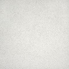 Silver State Sunbrella Jedi Salt Roman Holidays Collection Upholstery Fabric