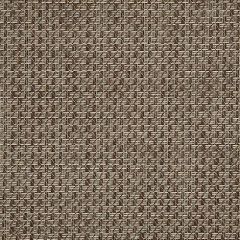 Sunbrella Reed Hickory 50199-0002 Sling Upholstery Fabric