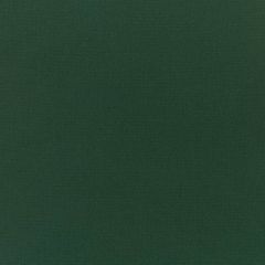 Silver State Sunbrella Legacy Evergreen Prestige Collection Upholstery Fabric