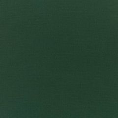 Silver State Sunbrella Legacy Evergreen Prestige Collection Upholstery Fabric