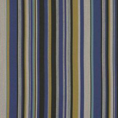 Sunbrella by Mayer Infinity Cobalt 415-004 Imagine Collection Upholstery Fabric